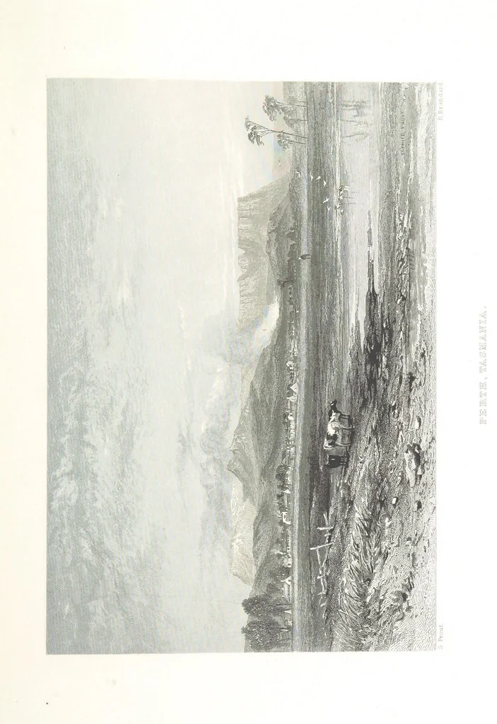 An illustration from Australia ... Illustrated with drawings by Skinner Prout, N. Chevalier, etc. [With maps, 1873, leaf 447