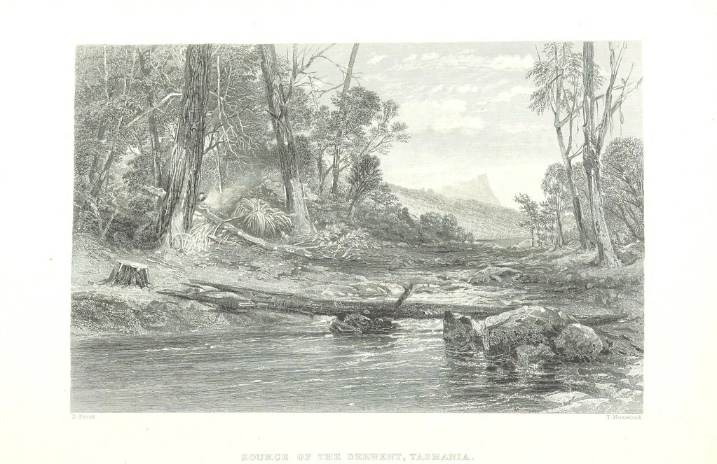 An illustration from Australia ... Illustrated with drawings by Skinner Prout, N. Chevalier, etc. [With maps, 1873, leaf 458