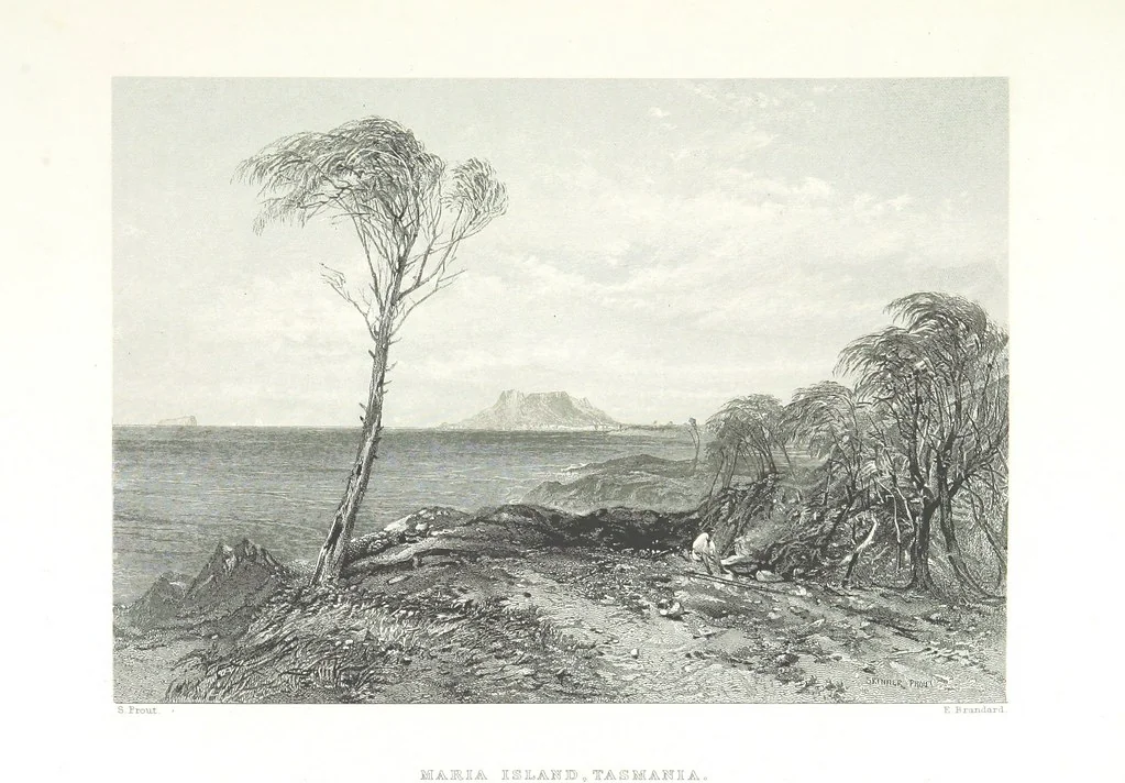 An illustration from Australia ... Illustrated with drawings by Skinner Prout, N. Chevalier, etc. [With maps, 1873, leaf 467
