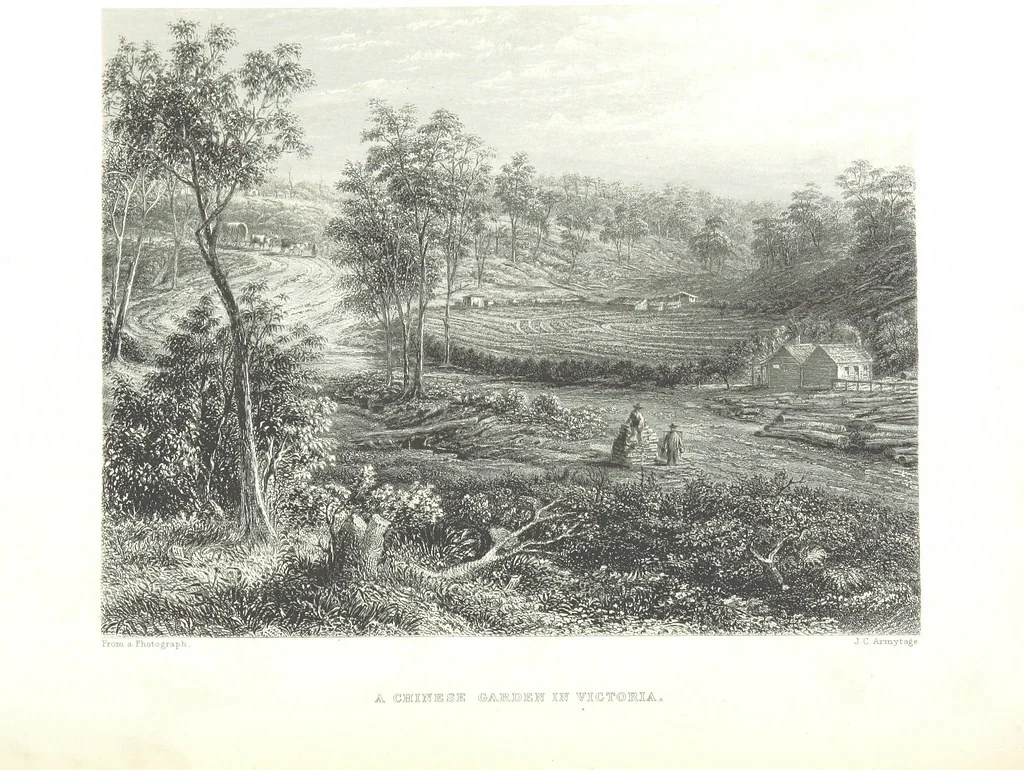 An illustration from Australia ... Illustrated with drawings by Skinner Prout, N. Chevalier, etc. [With maps, 1873, leaf 72