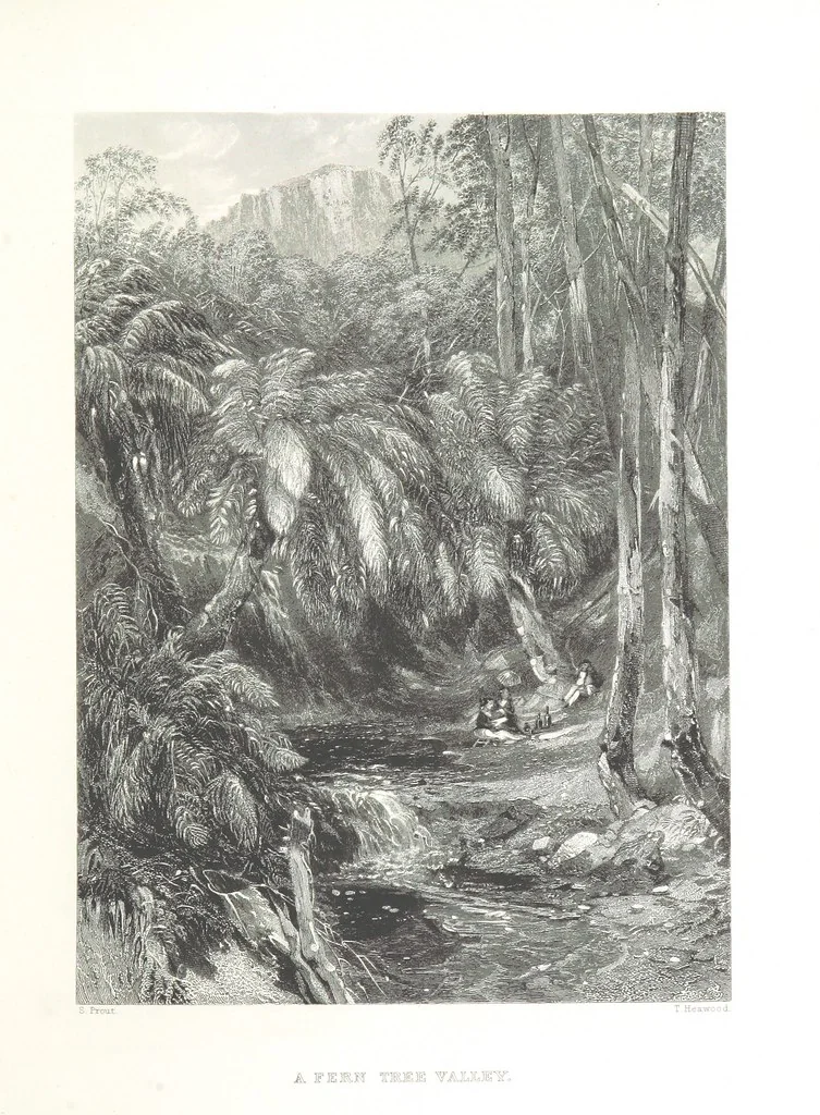 An illustration from Australia ... Illustrated with drawings by Skinner Prout, N. Chevalier, etc. [With maps, 1873, leaf 95