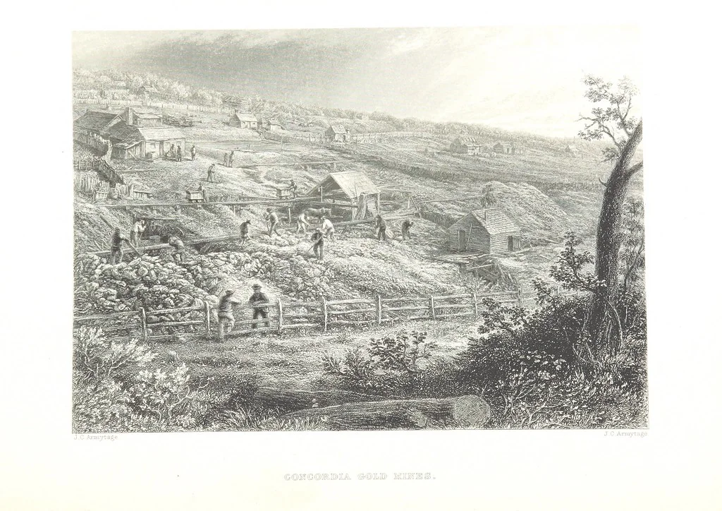 An illustration from Australia ... Illustrated with drawings by Skinner Prout, N. Chevalier, etc. [With maps, 1873, leaf 98