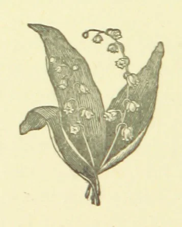 An illustration from The Poetical Works of Sir Alexander Boswell ... Now first collected and edited, with memoir, by Robert Howie Smith, 1871, leaf 242