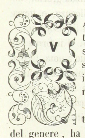 An illustration from Usi e costumi di Napoli e contorni descritti e dipinti. Opera diretta da F. de Bourcard, 1853, leaf 157