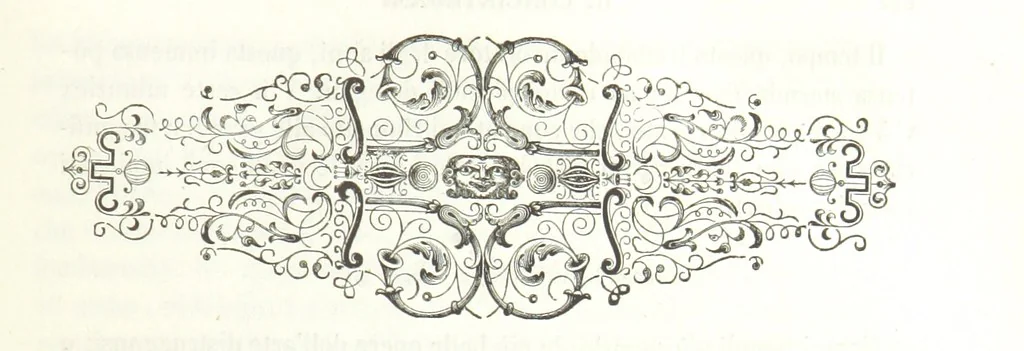 An illustration from Usi e costumi di Napoli e contorni descritti e dipinti. Opera diretta da F. de Bourcard, 1853, leaf 219