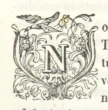 An illustration from Usi e costumi di Napoli e contorni descritti e dipinti. Opera diretta da F. de Bourcard, 1853, leaf 297