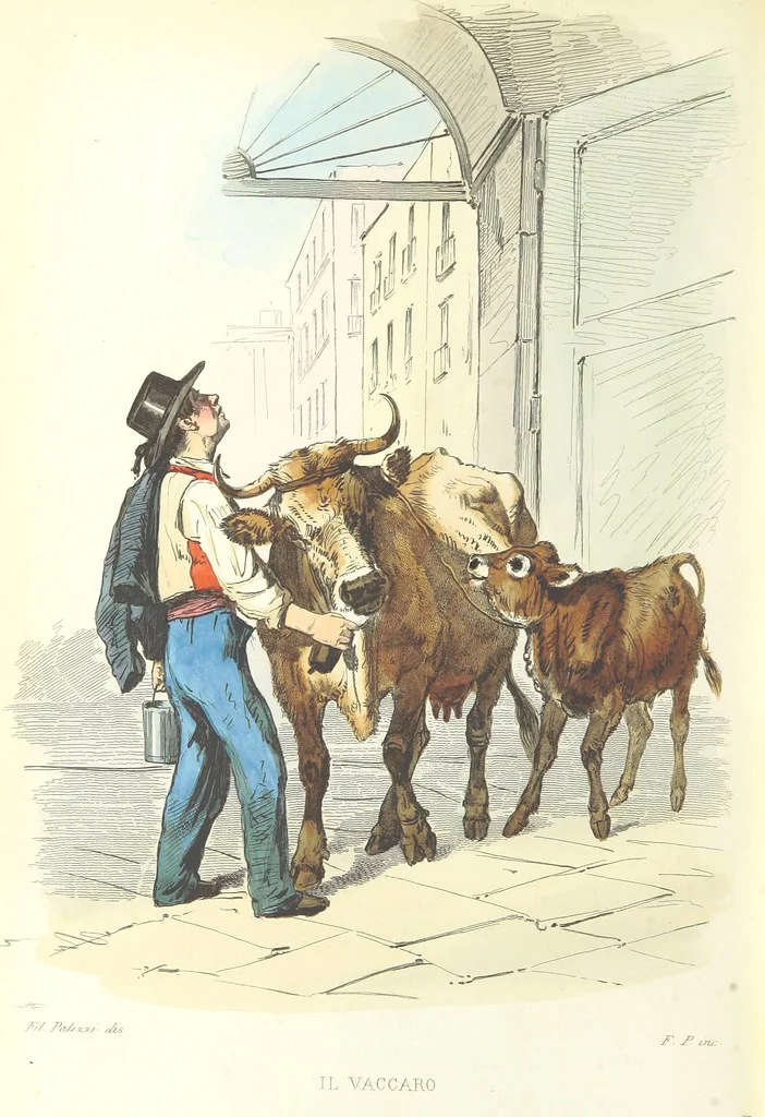 An illustration from Usi e costumi di Napoli e contorni descritti e dipinti. Opera diretta da F. de Bourcard, 1853, leaf 408