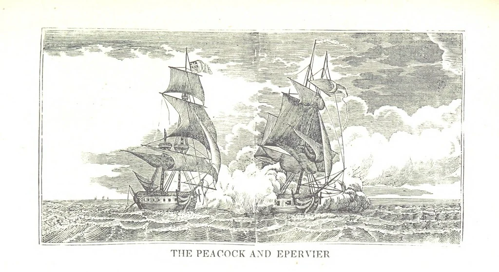An illustration from The Naval Monument, containing official and other accounts of all the battles fought between the navies of the United States and Great Britain during the late war; and an account of the war with Algiers. With twenty-five engravings, to which is annexed a naval register of the United States ... brought down to ... 1836, 1836, leaf 171