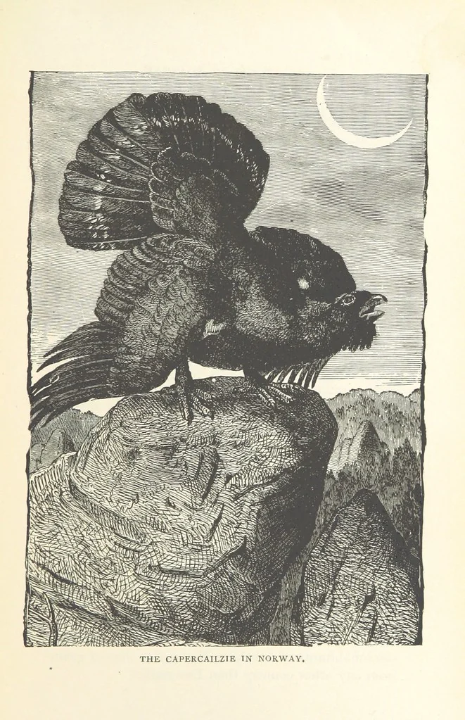 An illustration from The History of Norway. [With maps, 1886, leaf 539