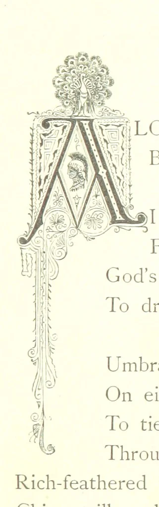 An illustration from Musings in Maoriland ... [In verse.] With an historical sketch by Sir Robert Stout and preface by Sir George Grey. Illustrated, etc, 1890, leaf 101
