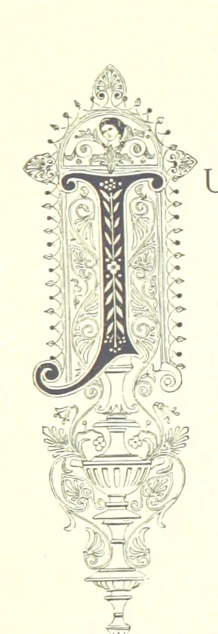 An illustration from Musings in Maoriland ... [In verse.] With an historical sketch by Sir Robert Stout and preface by Sir George Grey. Illustrated, etc, 1890, leaf 111