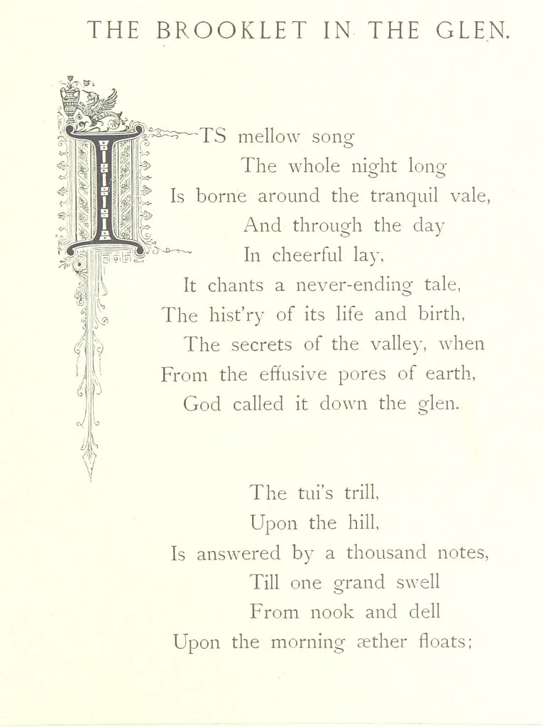 An illustration from Musings in Maoriland ... [In verse.] With an historical sketch by Sir Robert Stout and preface by Sir George Grey. Illustrated, etc, 1890, leaf 143