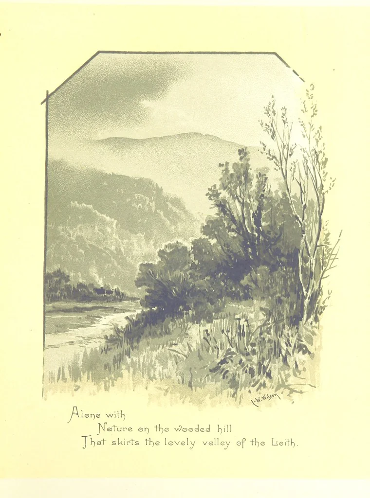 An illustration from Musings in Maoriland ... [In verse.] With an historical sketch by Sir Robert Stout and preface by Sir George Grey. Illustrated, etc, 1890, leaf 145