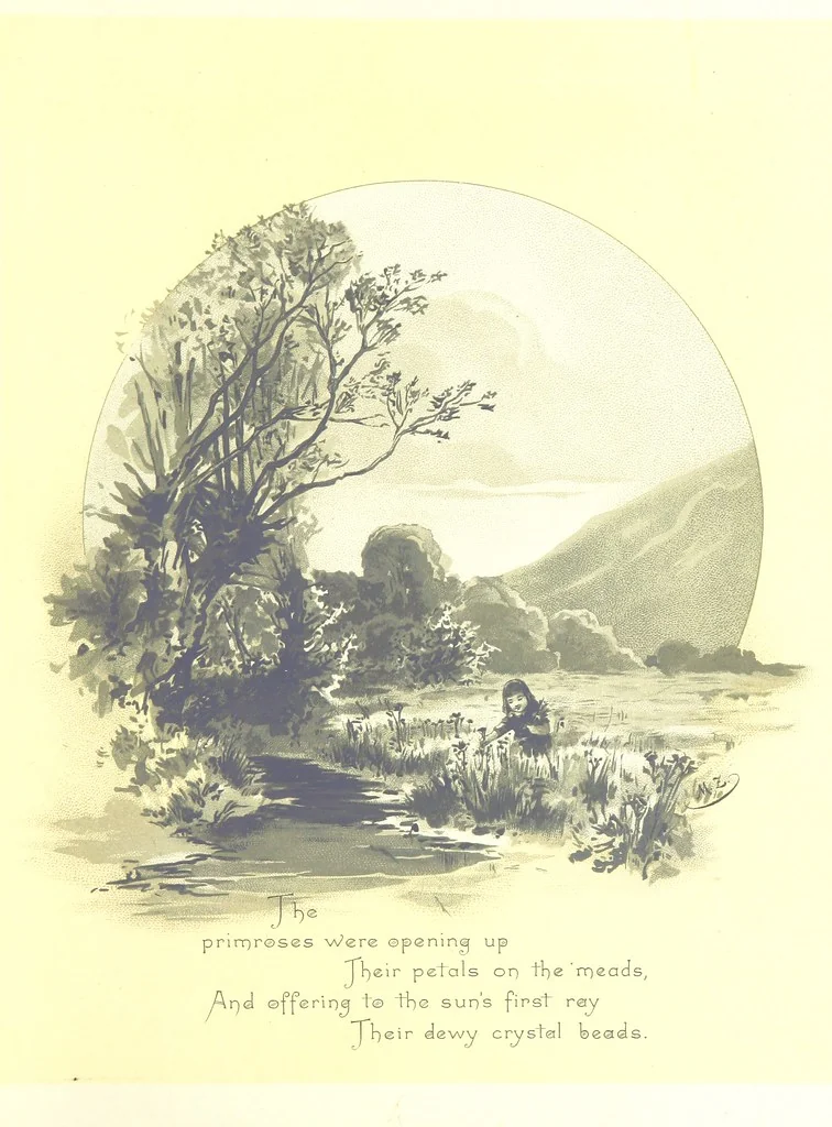 An illustration from Musings in Maoriland ... [In verse.] With an historical sketch by Sir Robert Stout and preface by Sir George Grey. Illustrated, etc, 1890, leaf 155