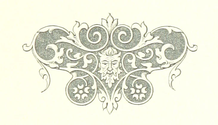 An illustration from Musings in Maoriland ... [In verse.] With an historical sketch by Sir Robert Stout and preface by Sir George Grey. Illustrated, etc, 1890, leaf 183