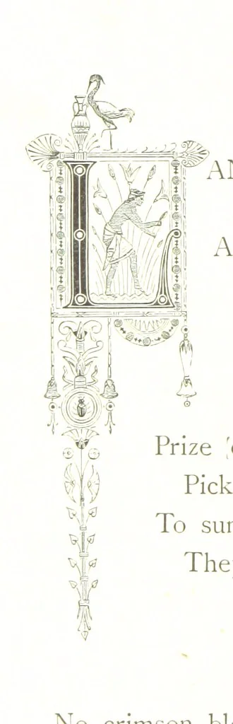 An illustration from Musings in Maoriland ... [In verse.] With an historical sketch by Sir Robert Stout and preface by Sir George Grey. Illustrated, etc, 1890, leaf 200
