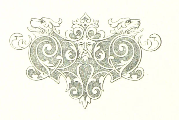 An illustration from Musings in Maoriland ... [In verse.] With an historical sketch by Sir Robert Stout and preface by Sir George Grey. Illustrated, etc, 1890, leaf 206