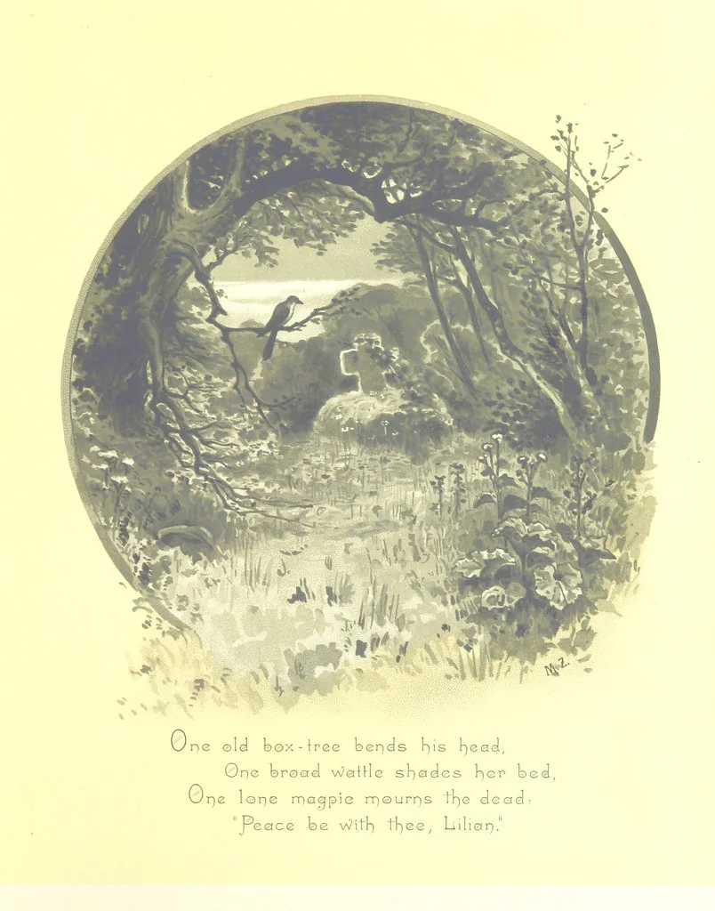 An illustration from Musings in Maoriland ... [In verse.] With an historical sketch by Sir Robert Stout and preface by Sir George Grey. Illustrated, etc, 1890, leaf 209