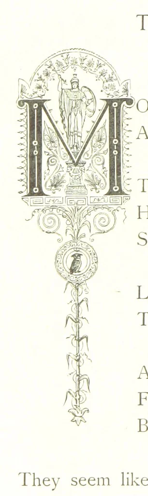 An illustration from Musings in Maoriland ... [In verse.] With an historical sketch by Sir Robert Stout and preface by Sir George Grey. Illustrated, etc, 1890, leaf 234