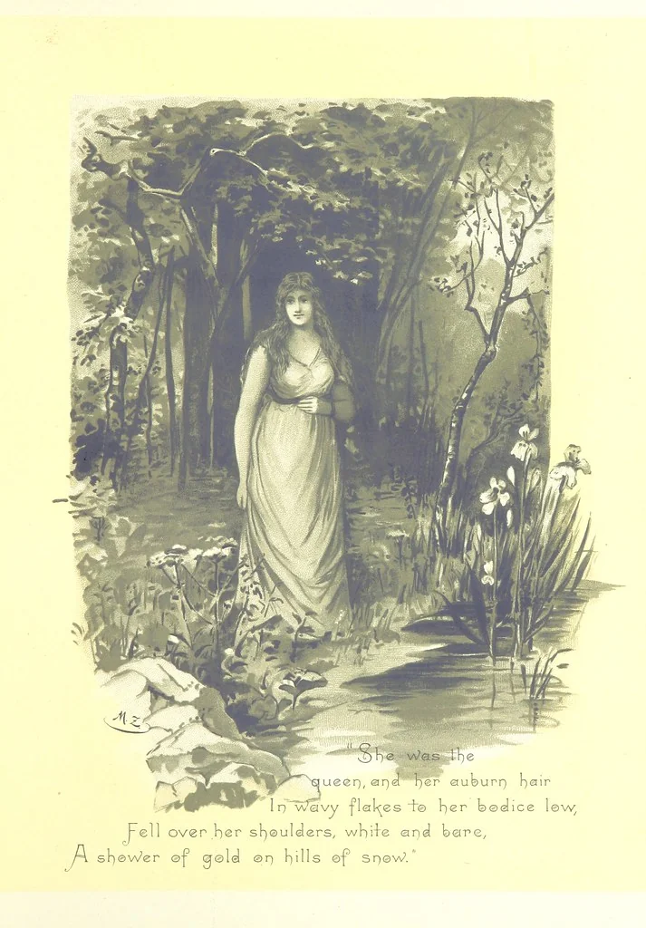 An illustration from Musings in Maoriland ... [In verse.] With an historical sketch by Sir Robert Stout and preface by Sir George Grey. Illustrated, etc, 1890, leaf 245