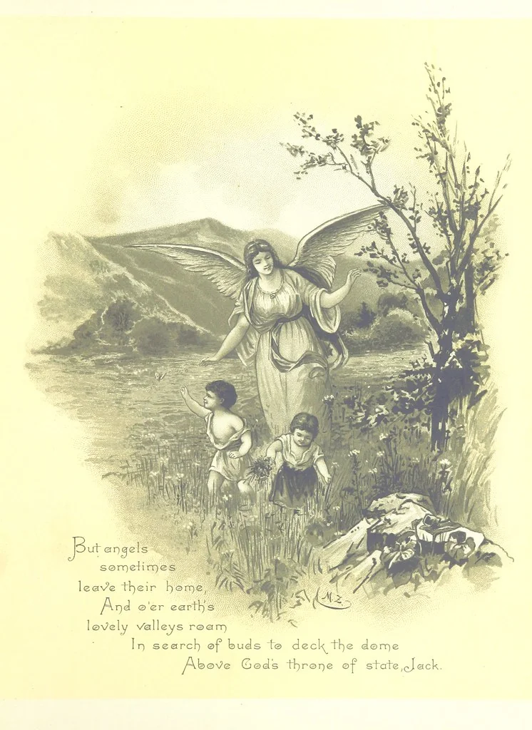An illustration from Musings in Maoriland ... [In verse.] With an historical sketch by Sir Robert Stout and preface by Sir George Grey. Illustrated, etc, 1890, leaf 263