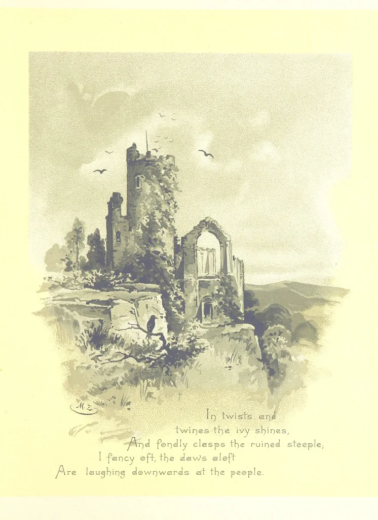 An illustration from Musings in Maoriland ... [In verse.] With an historical sketch by Sir Robert Stout and preface by Sir George Grey. Illustrated, etc, 1890, leaf 281