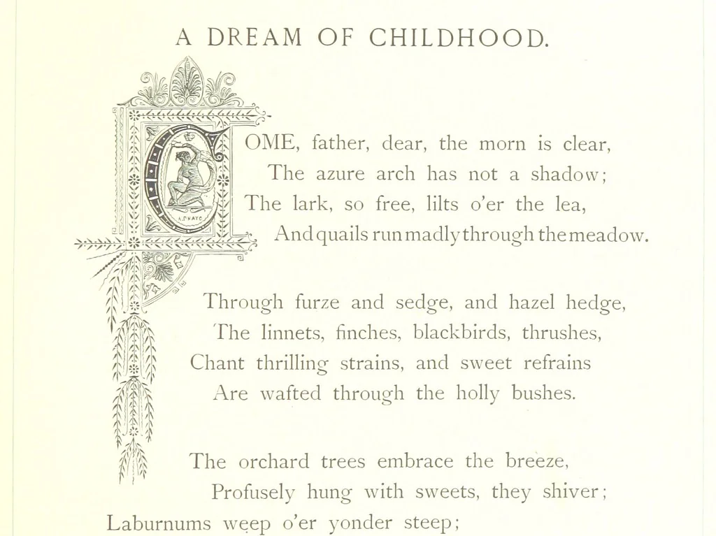 An illustration from Musings in Maoriland ... [In verse.] With an historical sketch by Sir Robert Stout and preface by Sir George Grey. Illustrated, etc, 1890, leaf 283