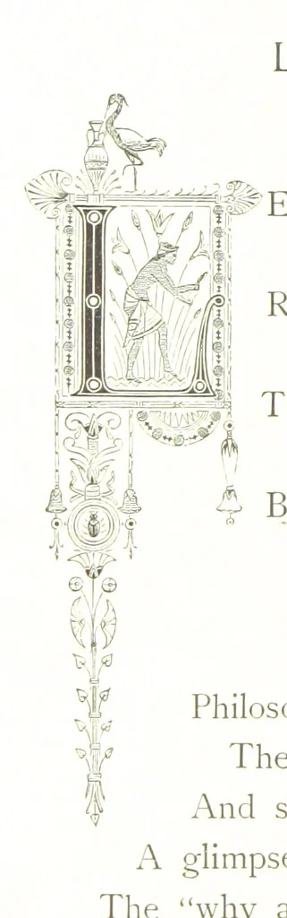 An illustration from Musings in Maoriland ... [In verse.] With an historical sketch by Sir Robert Stout and preface by Sir George Grey. Illustrated, etc, 1890, leaf 306