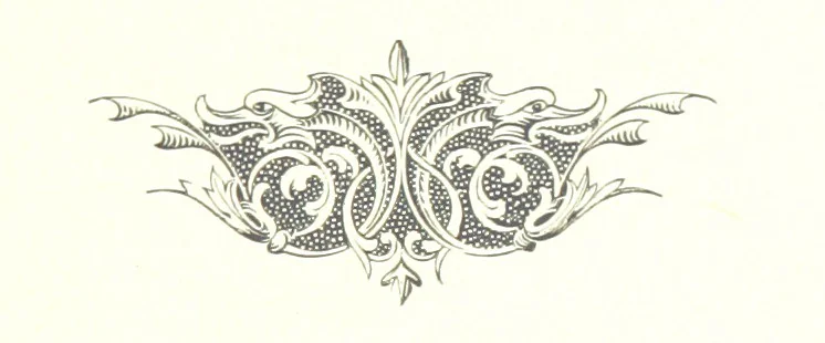An illustration from Musings in Maoriland ... [In verse.] With an historical sketch by Sir Robert Stout and preface by Sir George Grey. Illustrated, etc, 1890, leaf 307