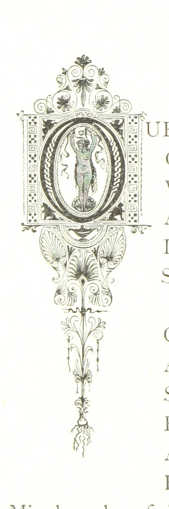An illustration from Musings in Maoriland ... [In verse.] With an historical sketch by Sir Robert Stout and preface by Sir George Grey. Illustrated, etc, 1890, leaf 312