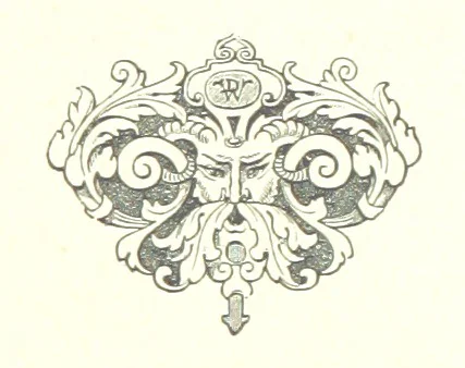 An illustration from Musings in Maoriland ... [In verse.] With an historical sketch by Sir Robert Stout and preface by Sir George Grey. Illustrated, etc, 1890, leaf 313