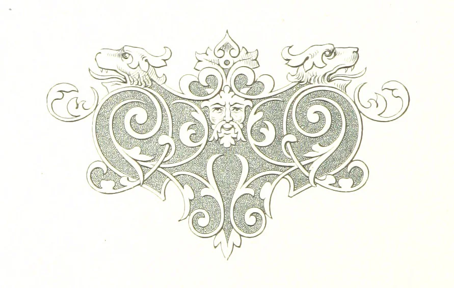 An illustration from Musings in Maoriland ... [In verse.] With an historical sketch by Sir Robert Stout and preface by Sir George Grey. Illustrated, etc, 1890, leaf 314