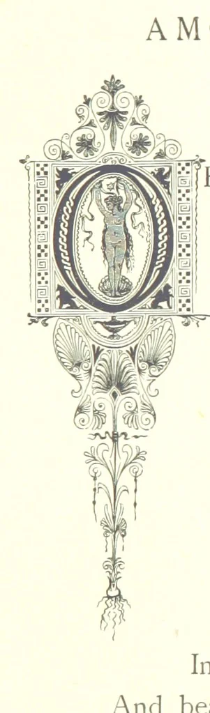 An illustration from Musings in Maoriland ... [In verse.] With an historical sketch by Sir Robert Stout and preface by Sir George Grey. Illustrated, etc, 1890, leaf 321