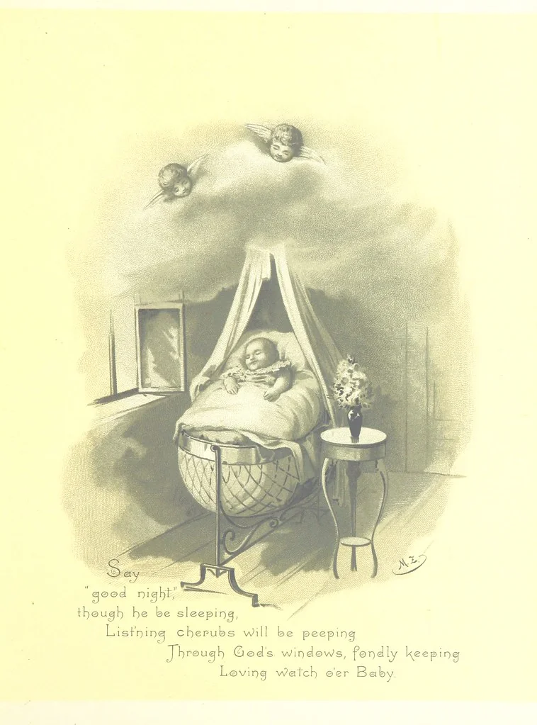 An illustration from Musings in Maoriland ... [In verse.] With an historical sketch by Sir Robert Stout and preface by Sir George Grey. Illustrated, etc, 1890, leaf 325