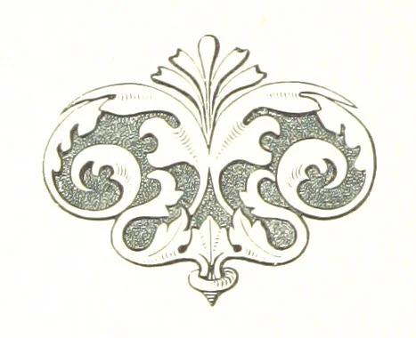 An illustration from Musings in Maoriland ... [In verse.] With an historical sketch by Sir Robert Stout and preface by Sir George Grey. Illustrated, etc, 1890, leaf 334