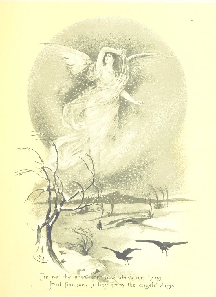 An illustration from Musings in Maoriland ... [In verse.] With an historical sketch by Sir Robert Stout and preface by Sir George Grey. Illustrated, etc, 1890, leaf 343