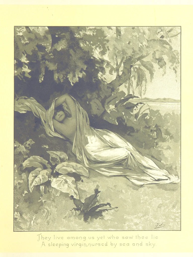 An illustration from Musings in Maoriland ... [In verse.] With an historical sketch by Sir Robert Stout and preface by Sir George Grey. Illustrated, etc, 1890, leaf 37