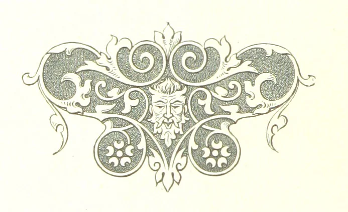 An illustration from Musings in Maoriland ... [In verse.] With an historical sketch by Sir Robert Stout and preface by Sir George Grey. Illustrated, etc, 1890, leaf 394