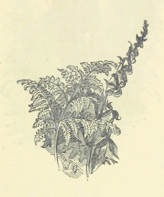 An illustration from All about Derbyshire ... With sixty illustrations, etc, 1884, leaf 13