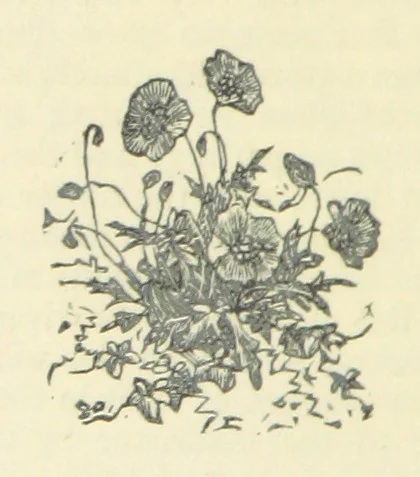 An illustration from All about Derbyshire ... With sixty illustrations, etc, 1884, leaf 26