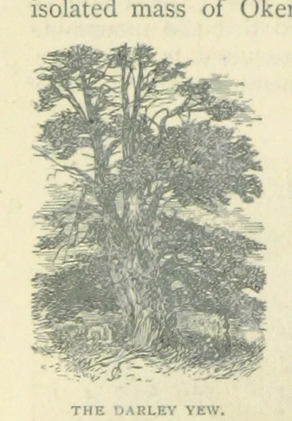 An illustration from All about Derbyshire ... With sixty illustrations, etc, 1884, leaf 328