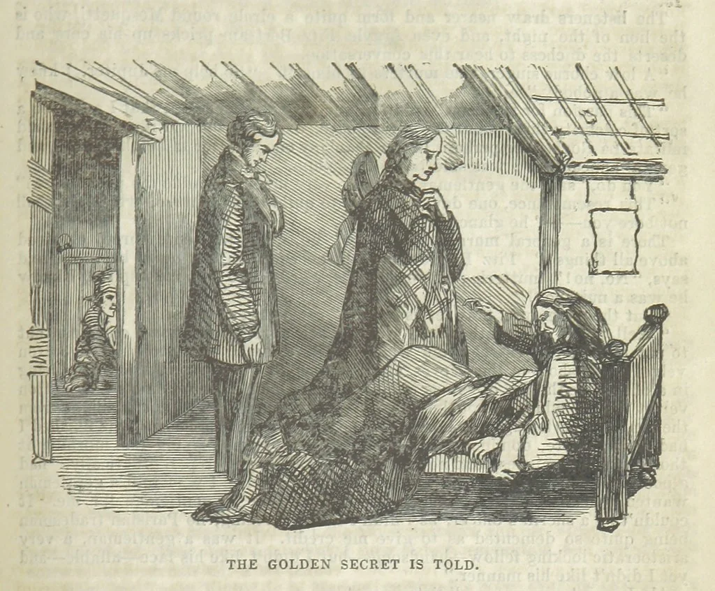 An illustration from The Trail of the Serpent; or, the Secret of the heath, 1861, leaf 167