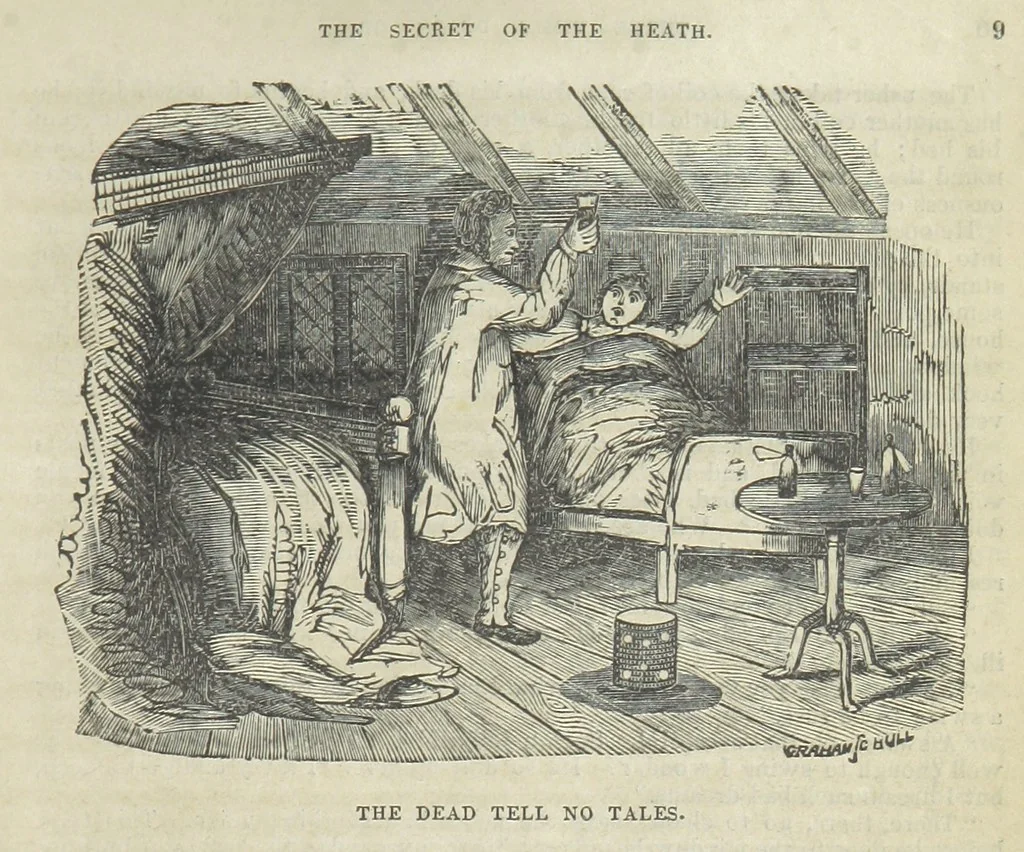 An illustration from The Trail of the Serpent; or, the Secret of the heath, 1861, leaf 23