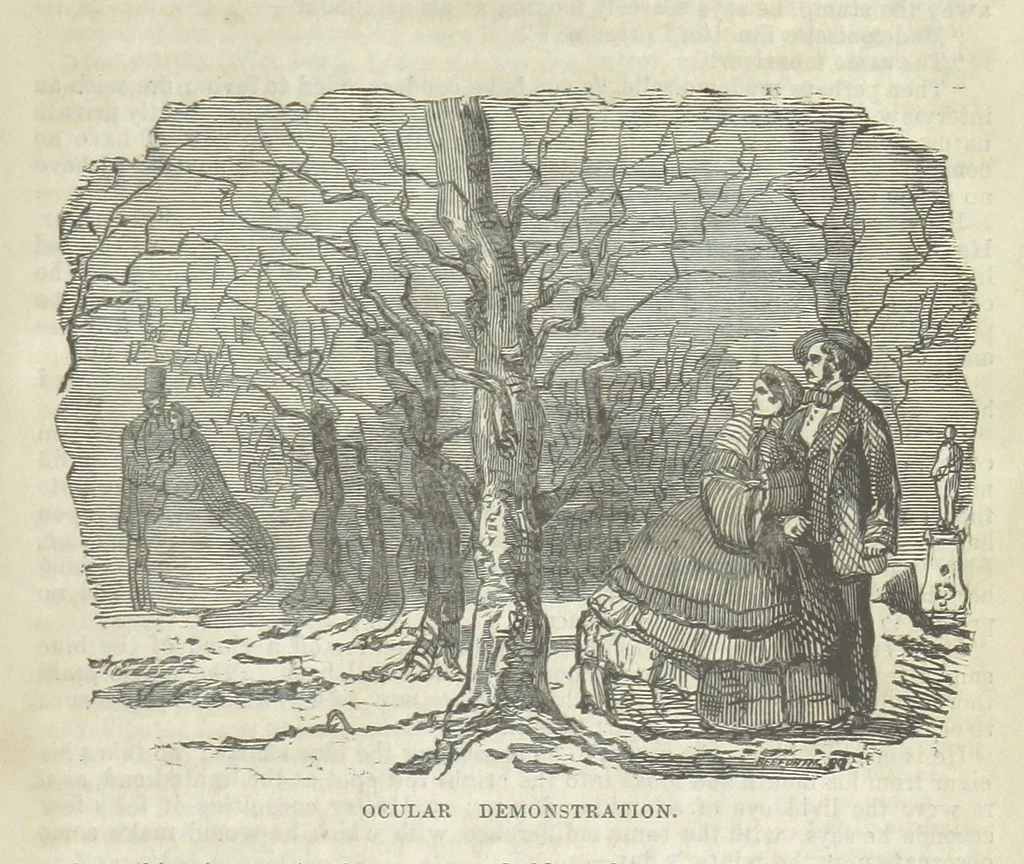 An illustration from The Trail of the Serpent; or, the Secret of the heath, 1861, leaf 79