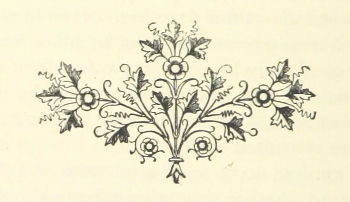 An illustration from Em; or, Spells and counter-spells, 1878, leaf 224