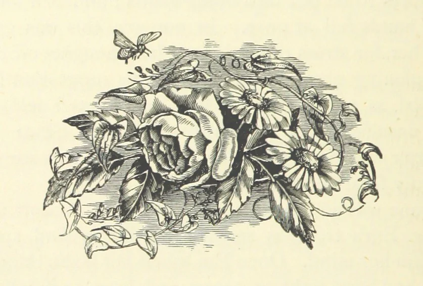 An illustration from Em; or, Spells and counter-spells, 1878, leaf 260