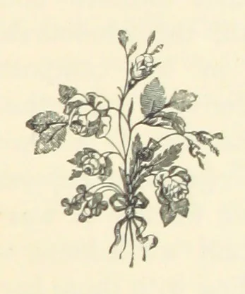 An illustration from Em; or, Spells and counter-spells, 1878, leaf 27