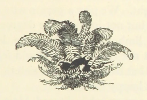 An illustration from Em; or, Spells and counter-spells, 1878, leaf 271