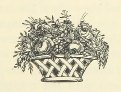 An illustration from Em; or, Spells and counter-spells, 1878, leaf 45