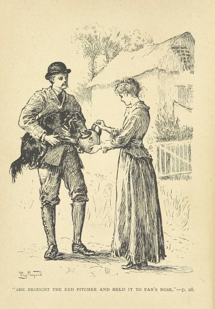 An illustration from Em; or, Spells and counter-spells, 1878, leaf 8